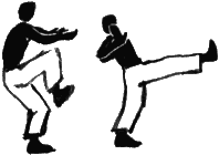 Man doing a thrust kick