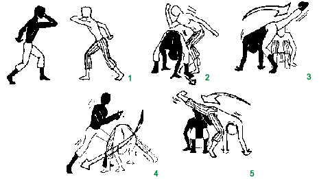 Sequence 6