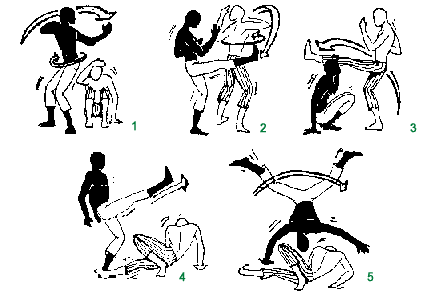 Sequence 7