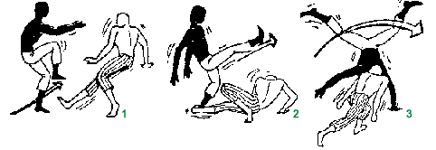 Sequence 8