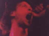 Peter Kamminga, Vocals