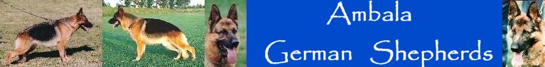 http://webspace.webring.com/people/ga/ambala/