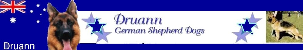 Welcome to Druann German Shepherds