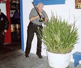 Mal serenade
