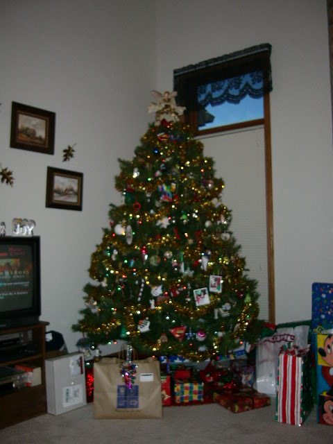 Neil, Kathy, and Clark's Christmas tree.