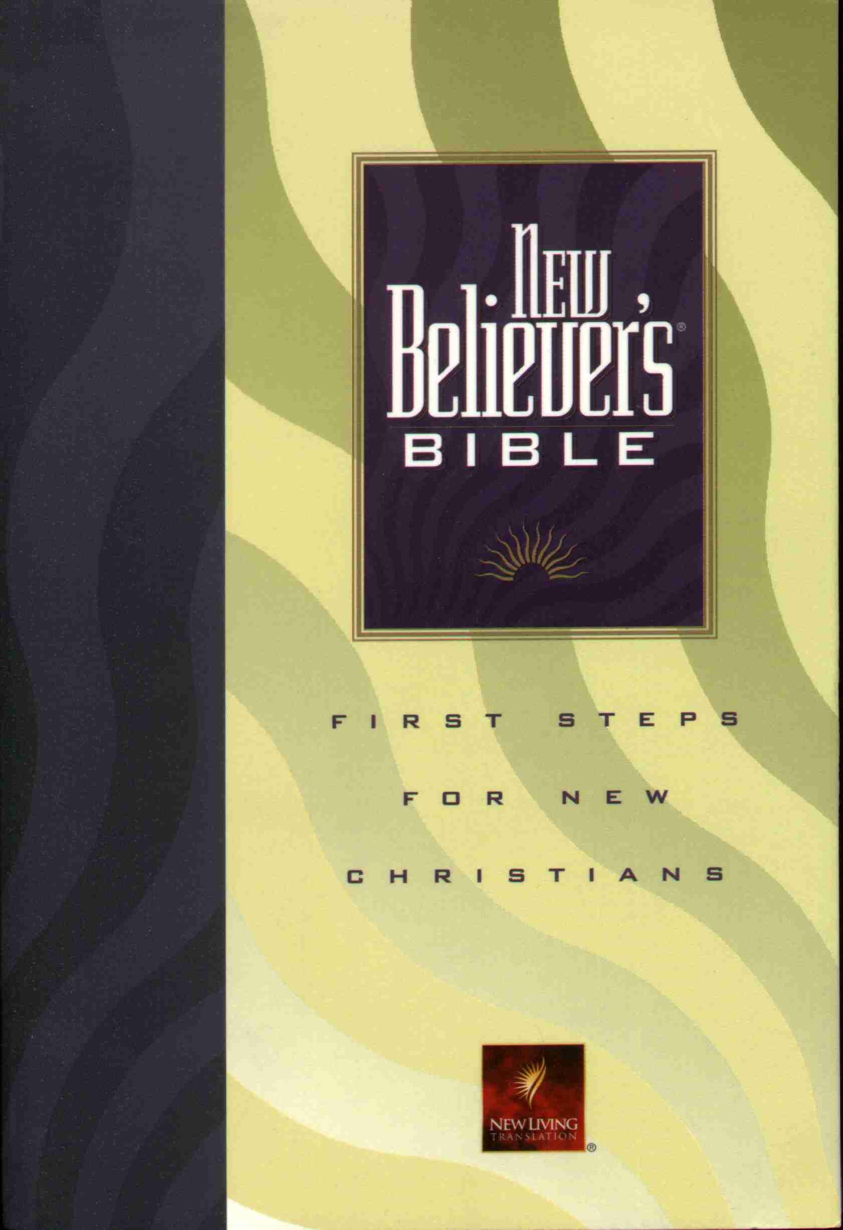 New Living Translation, very easy to understand. Click here to learn more about it.
