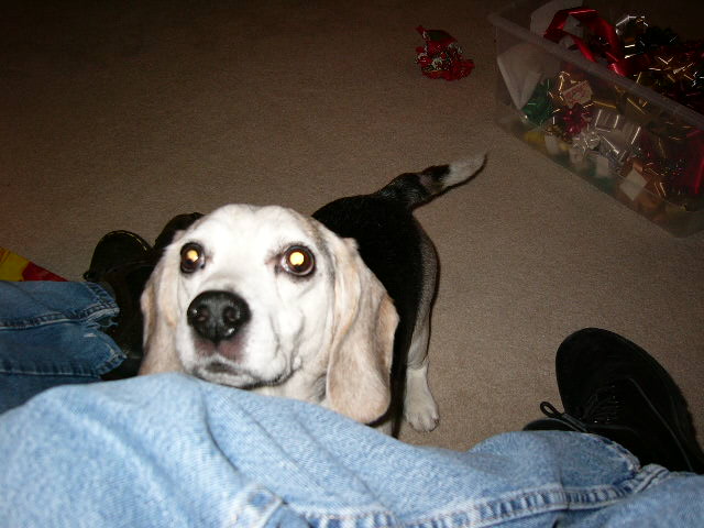 Stoney (A.K.A. 'Lil Anth) is looking good for the camera.