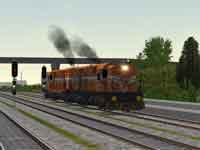 Tithorea_signals