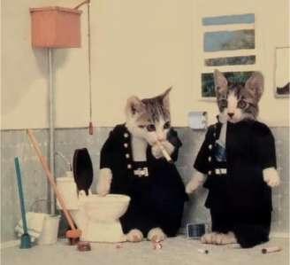 These are my minions of darkness....on a break