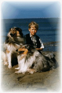 Miceri's The wonder & Miceri's The Natural
