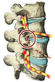 Back to Health Chiropractic in Florence, Kentucky