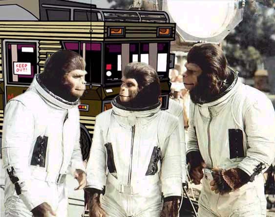 David-Partington-pota