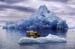 Eleanor-Cameron-iceberg