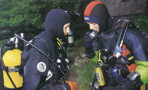 dryg41.jpg