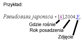 wzor.gif
