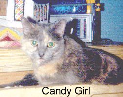 CANDY1.JPG