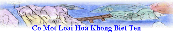 Co Mot Loai Hoa Khong Biet Ten