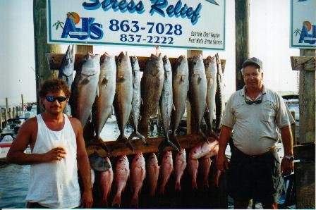 fish13.jpg (33663 bytes)