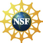 nsf LOGO