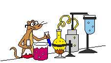 Regular Chem