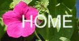 HomeButtonTransparent