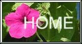 HomeButtonMI