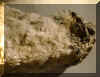 Gneiss.jpg (56108 bytes)