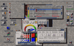 Figure 1: My view of Amiga OS4