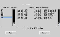 Figure 2:The Boot Options screen