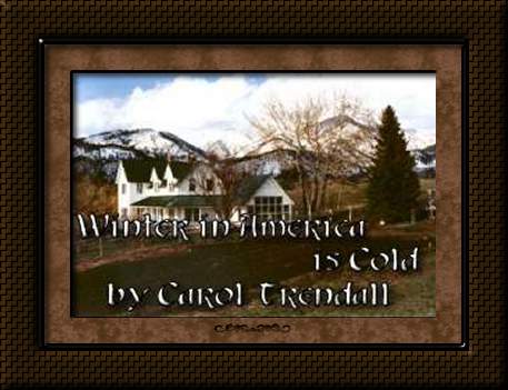 Winter in America is Cold by Carol Trendall