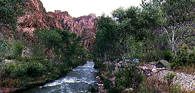 Bright Angel Campground on the banks of Bright Angel Creek