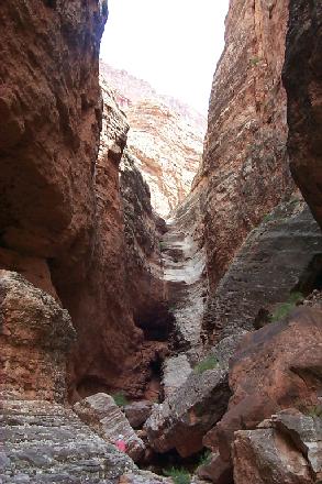 Nautiloid Canyon
