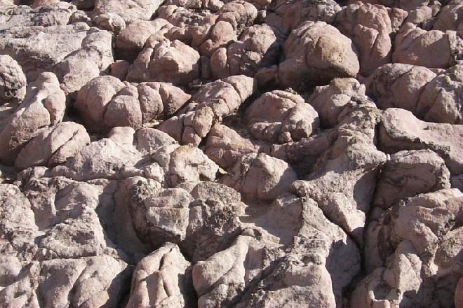stromatolites