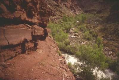 the trail above Tapeats Creek