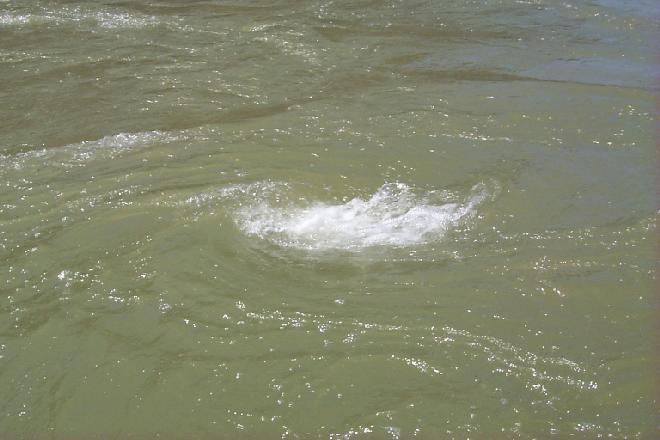 whirlpool