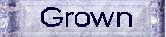 Button (1,8 Kb)
