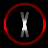 The X Files