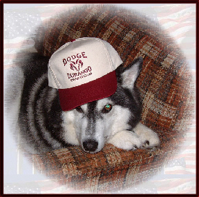 DOCdog1post.jpg (78435 bytes)