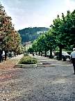 BellagioPark.jpg