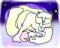polar bears 3