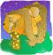 brown bear