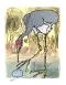 sandhill crane and egg