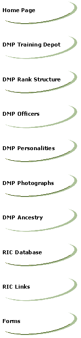 Dublin Metropolitan Police