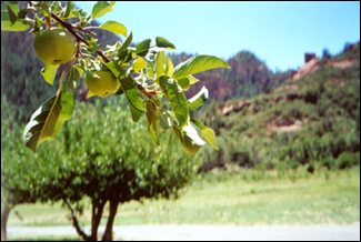 Sedona