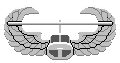 Air Assault!