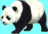 Play Panda Panic! Demo