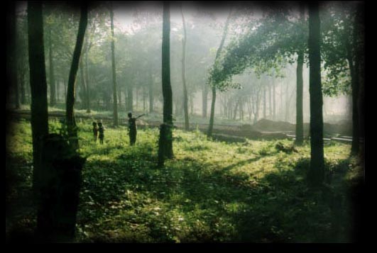 Somewhere in Yercaud....