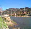 kawazu