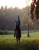 Lloyd riding in at evening.