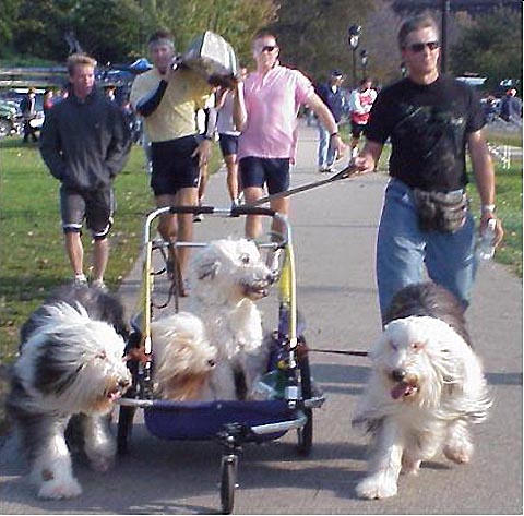 Walkin in the park.